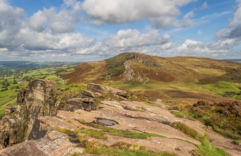 The Roaches The Roaches